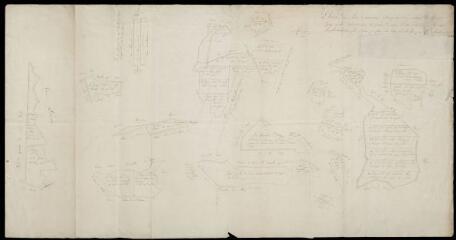 1 vue  - Plan des bois communaux d\'Arcy-sur-Cure... (ce plan a été dressé sur celui fait par Mr. Benoît en 1729.). (ouvre la visionneuse)
