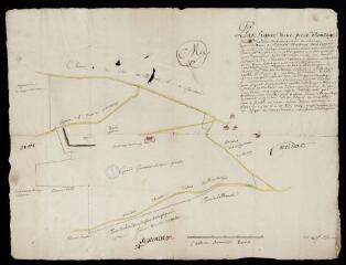 1 vue Plan figure d'une pièce d'héritage faisant partie de la seigneurie du Chanoy, appartenant à monsieur Martinot / Benoist, arpenteur priseur royal.