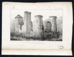 1 vue  - Ruines du château de Thorey / Victor Petit del. et lith. (ouvre la visionneuse)