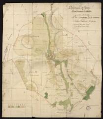1 vue Plan géométrique de la commune de Domecy-Sur-Le-Vault. – [S.l.] : [s.n.], 1807.