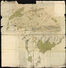 1 vue Plan géométrique de la commune de Nailly. – [S.l.] : [s.n.], 1806.