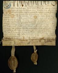 2 vues Chirographe contenant accord entre les abbayes de Pontigny et de Vauluisant pour le partage du bois des Eslurgeiz par des moines, convers, porchers charrons et autres, désignés à cet effet.