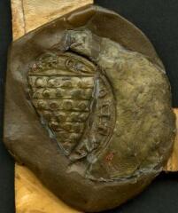 1 vue  - Contre-sceau de Deux II de Traînel, seigneur de Traînel et d\'Esternay (ouvre la visionneuse)