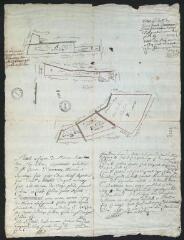 1 vue Plan et figure de plusieurs pièces tant prés et terres appartenant à l'abbaye S[ain]t-Germain. / Retif Edme, arpenteur juré.